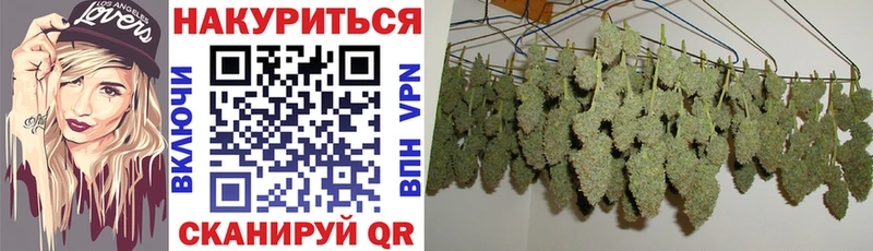 omg   Светлоград  Канабис OG Kush 